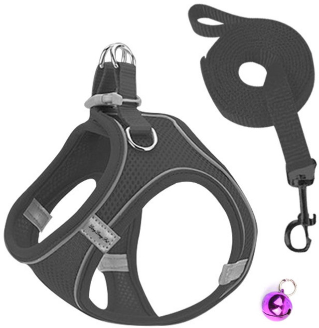 딩동펫 반려동물 올메쉬 통풍하네스 세트, 블랙, 1세트