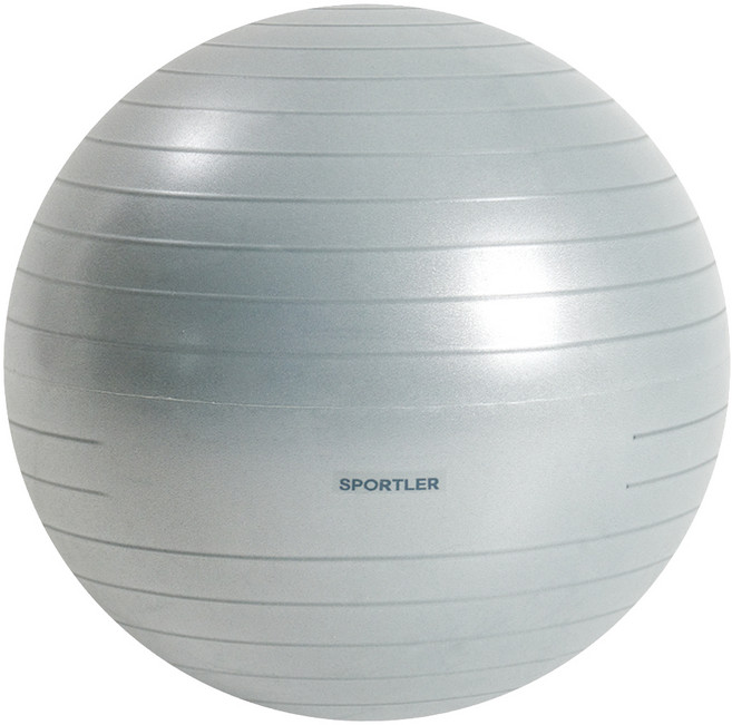 스포틀러 안티버스트 짐볼 세트, 쿨그레이