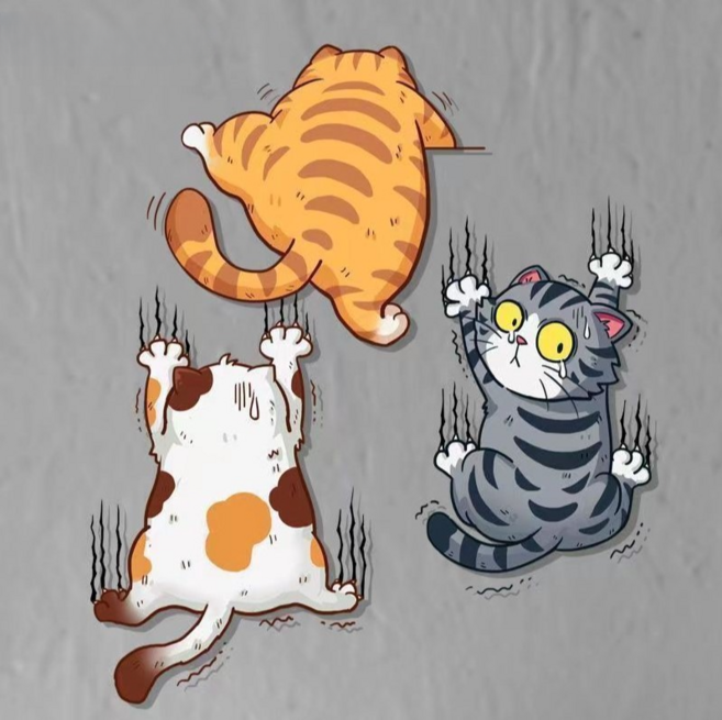 아이작큐브 오토바이 차량용 흠집제거 스티커 고양이 3종 세트 2 중형, 혼합색상, 1세트