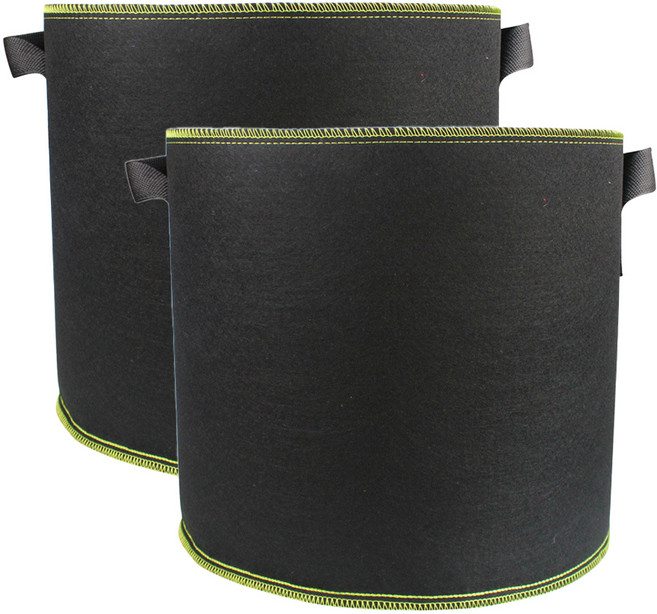 오늘의공감 부직포 농작물 블루베리 화분 2p, 블랙, 2개