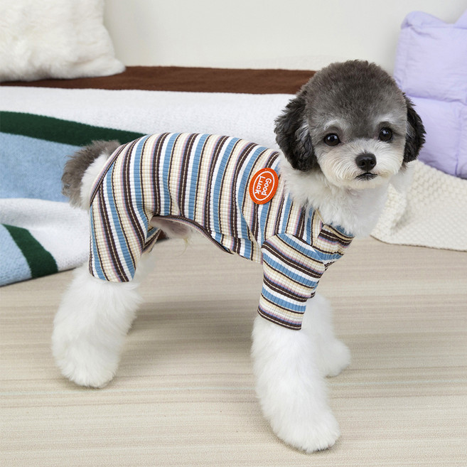 파스텔펫 반려동물 마카롱 줄무늬 올인원, 블루, 1개