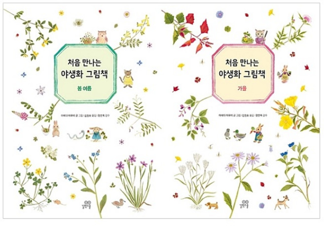 처음 만나는 야생화 봄 여름 + 가을 세트, 길벗스쿨