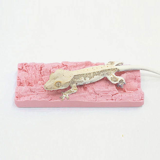 아쿠아비 크레스티드 게코 인조 코르크 탈피보드, 핑크, 1개