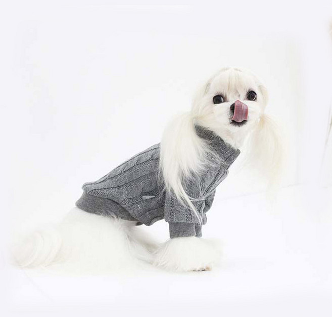 레어밍스 강아지 꽈배기 터틀넥 니트티, 그레이, 1개