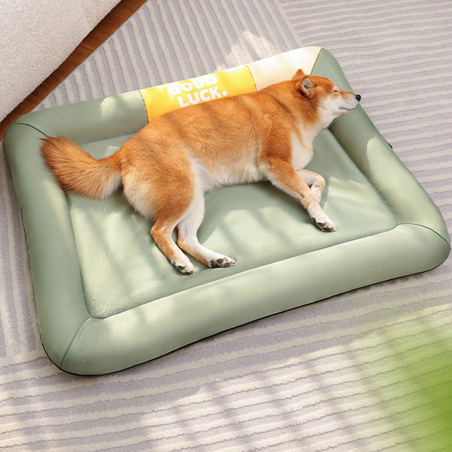 레드퍼피 반려동물 베르니아 쿠션, 1개