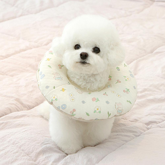 ITS DOG 有機一體成形鋪棉防舔咬頭套, 1個, 兔子花園