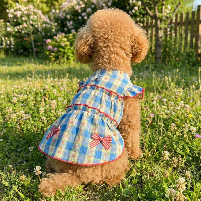 웨이비데이즈 반려동물 프릴 플라워 원피스 W265-0099, 블루, 1개