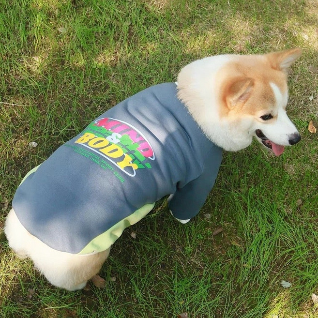 Coco studio 狗狗 中型犬 大型犬 Cocosports Club 刷毛T恤, 1個, 灰色