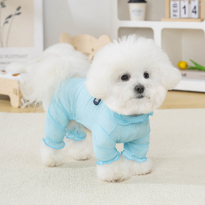 파스텔펫 반려동물 러브 라이프 메쉬올인원, 블루, 1개