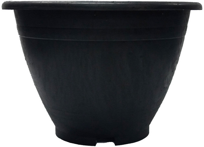 블루베리 화분, 1개