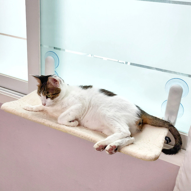 마아 고양이 폴딩식 양면 사계절 매트 강력 흡착 창문 해먹, 혼합색상, 1개