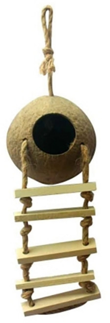 리프패럿 코코넛 사다리 은신처 01095, 혼합색상, 1개