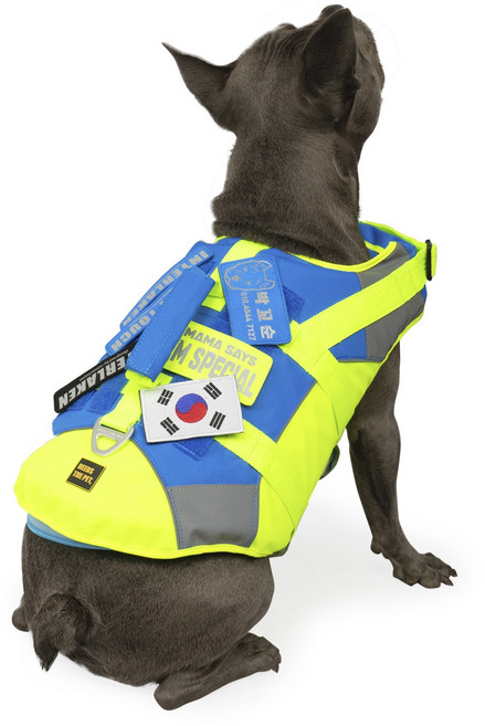 니즈더펫 강아지 인터라켄 구명조끼, 네온옐로우 + 블루, 1개
