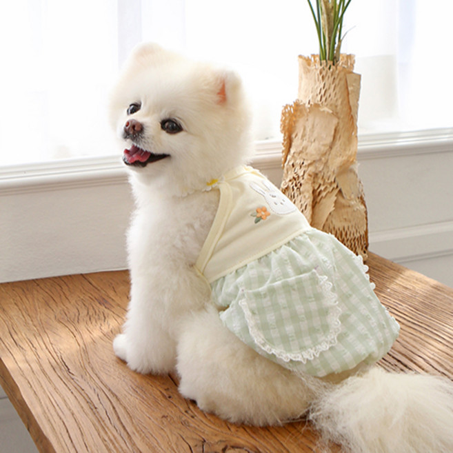 이츠독 반려견 토리 플라워 벌룬 티셔츠, 그린, 1개