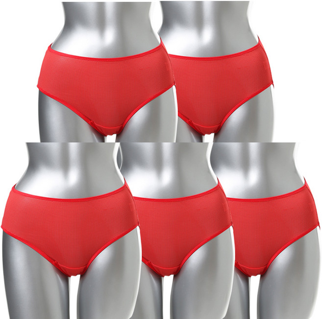 캐리루시 인견 기본팬티 5p