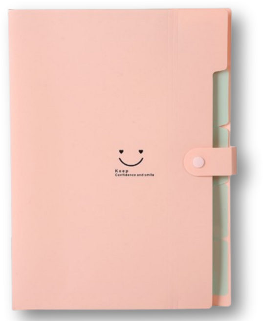 아스터 5칸 아코디언 파일 정리함 바인더, 연핑크, 1개