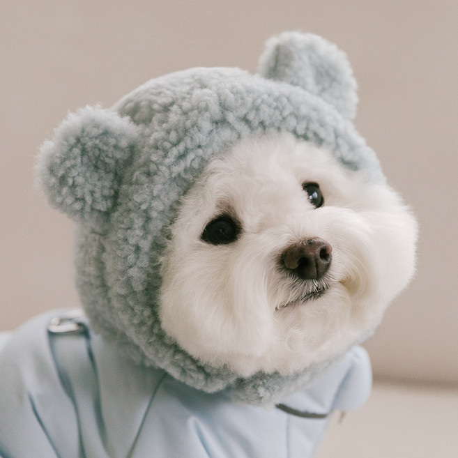 PETSLAND 寵物毛絨熊帽子, 天空藍, 1個