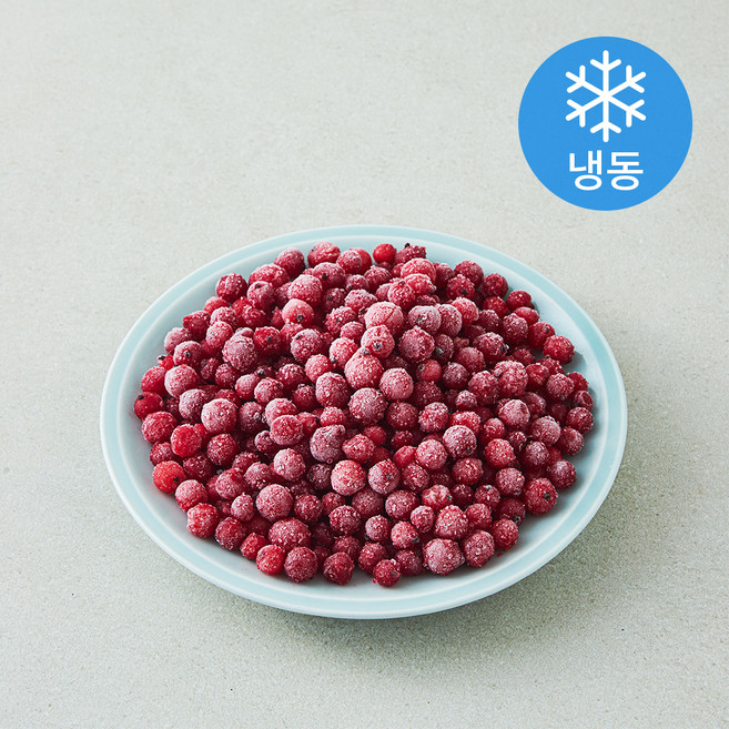폴란드산 레드커런트 (냉동), 1개, 1kg