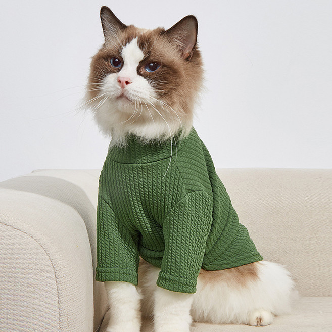 파스텔펫 반려동물용 컬러 꽈배기 터틀넥 티셔츠, 그린