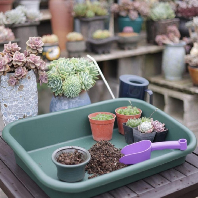 MORIANN 多功能園藝托盤, 1個, 綠色