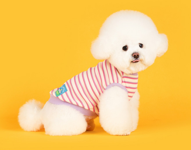 플로트 강아지 슈가 민소매 티셔츠, 베이지, 1개