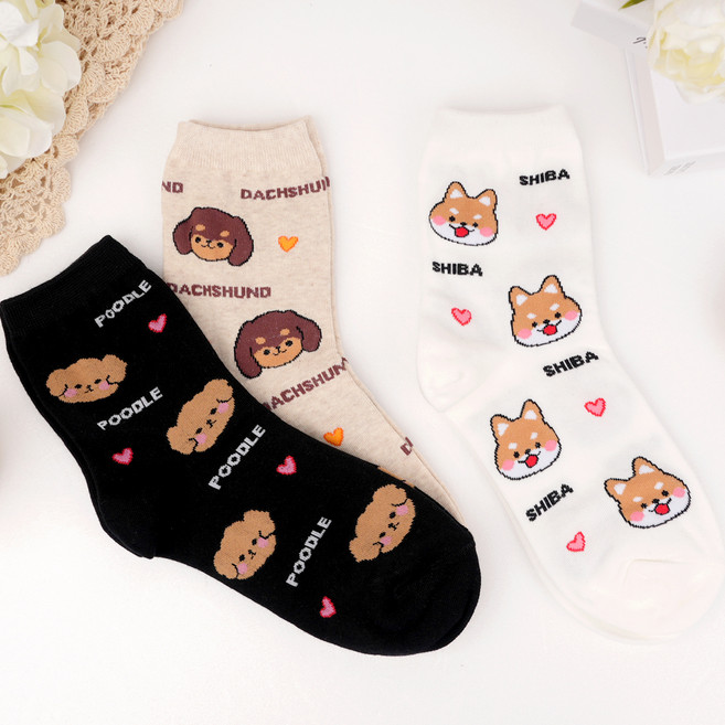 박군 여성용 애니멀 양말 3켤레 세트