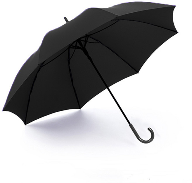 WEEVE 모던베이직 컬러풀 자동 장우산