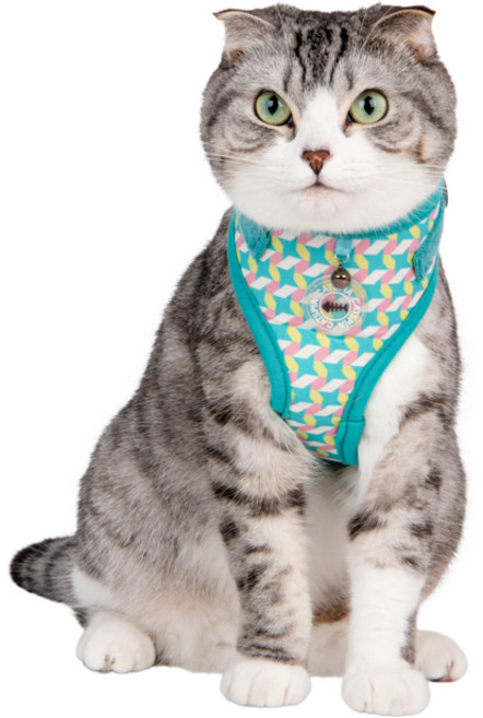 캐츠피아 고양이 페럴 슈페리어 사이즈 조절 하네스 A형 CAXA-HA9518, 아쿠아, 1개