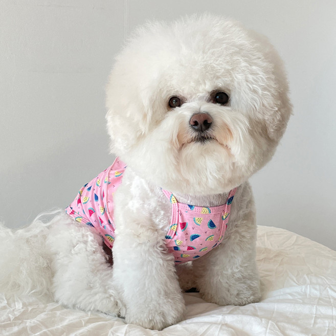 바이담수미 반려동물 뉴수박 끈 나시, 핑크, 1개