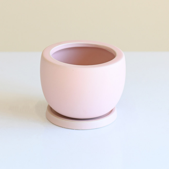 도시정원 파스텔 반구 도자기화분, 핑크, 1개