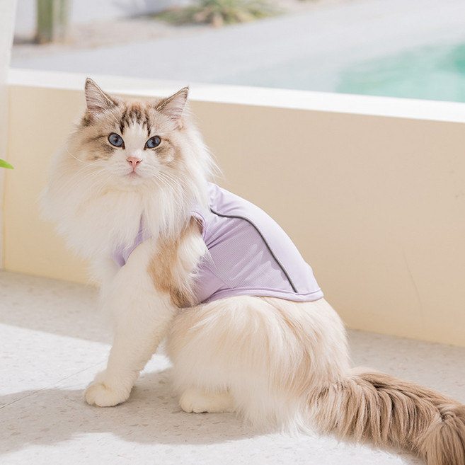 아티펫 반려동물 쿨링 통기성 모자 포함 조끼, 퍼플, 1개