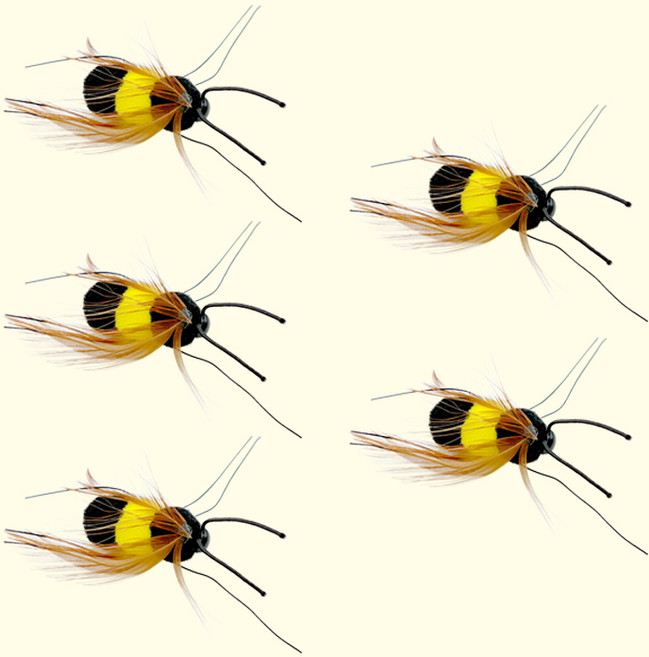 펫모닝 리얼버그 꿀벌 리필, 옐로우 + 블랙, 5개