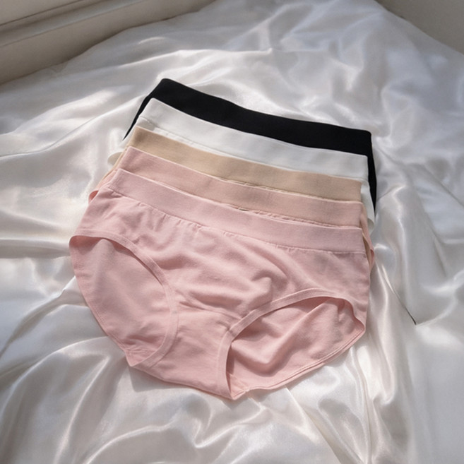 SEKANSKEEN 女性無痕內褲5件組, 白色, 膚米色, 淺粉色, 黑色