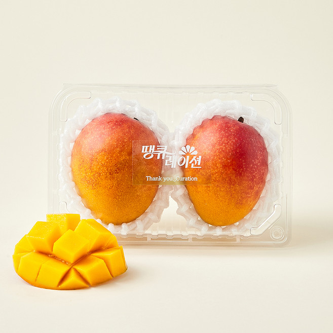 제주 애플망고 2입, 600g, 1개