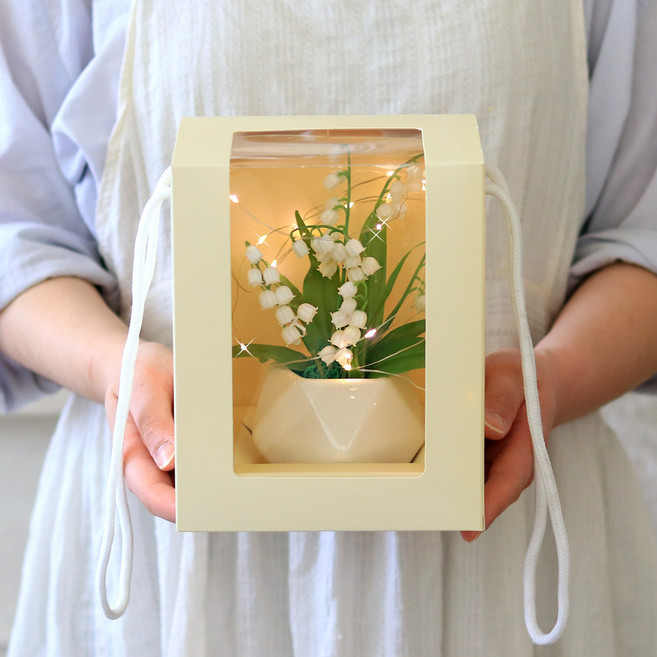 센트바스켓 조화 은방울꽃 화분 led 조명 + 투명창 상자 세트, 화이트, 1개