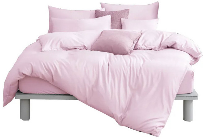 Blue Cat 藍貓 40支天絲素色床包2件組 台灣製