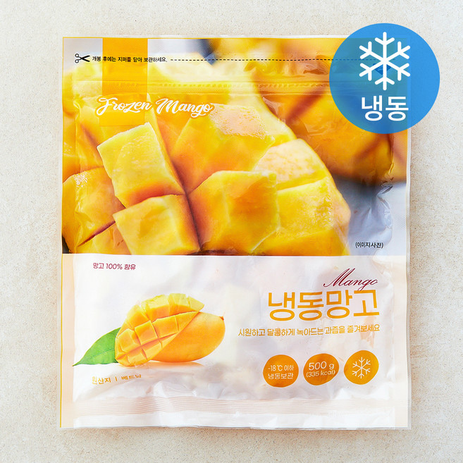 베트남산 망고 (냉동), 1개, 500g