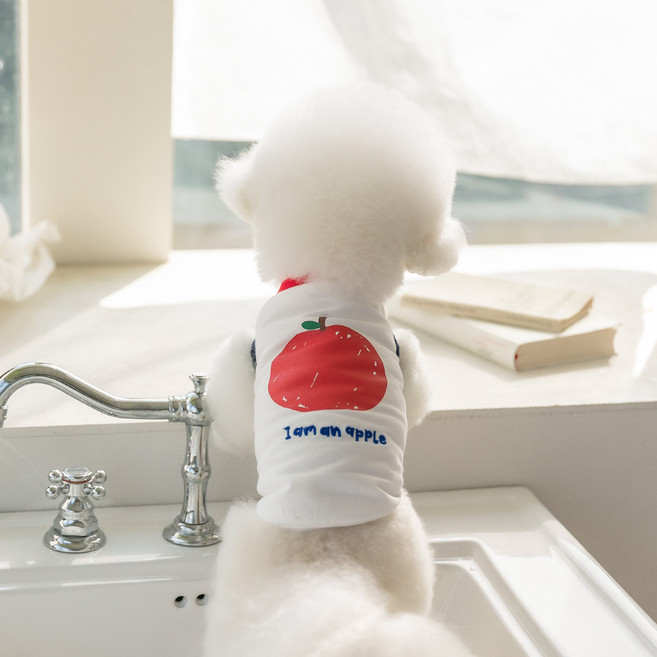 펫츠랜드 강아지 애플러쉬 티셔츠, 화이트, 1개