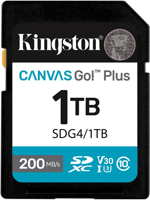 Kingston 金士頓 Canvas Go! Plus 200MB/s SD SDG4/1TB 記憶卡 大卡, 1個, 1TB
