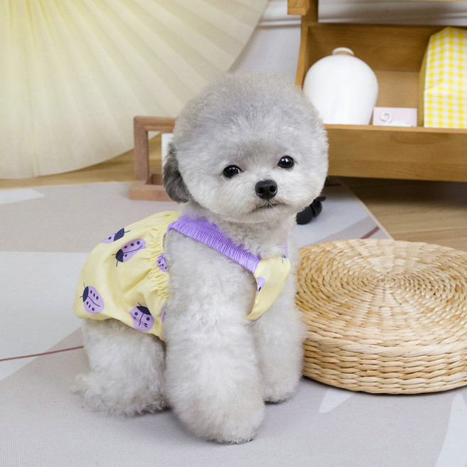 파스텔펫 반려동물 레이디버그 호박원피스, 옐로우, 1개