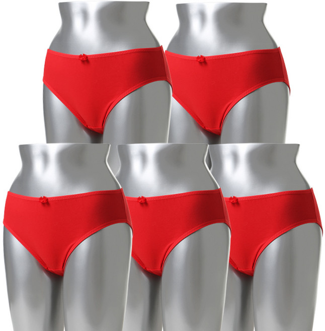 캐리루시 베이직 면 스판팬티 5p