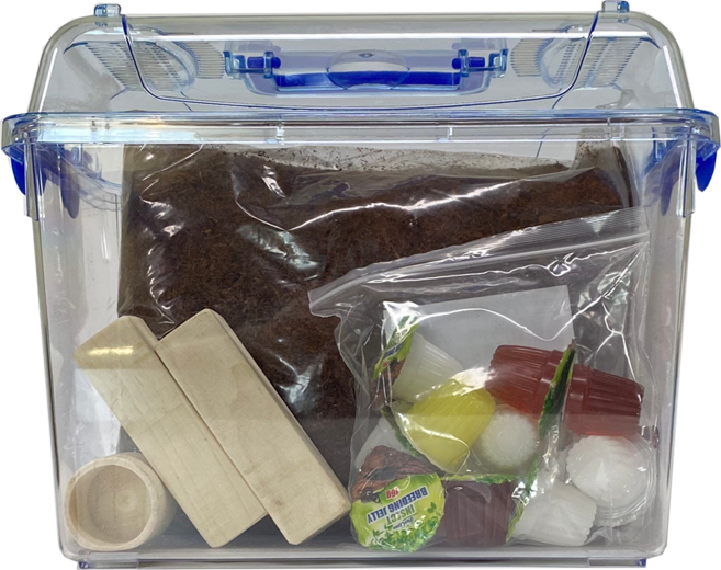 벅스프린스 사슴벌레키우기 세트 대형, 클린, 1세트