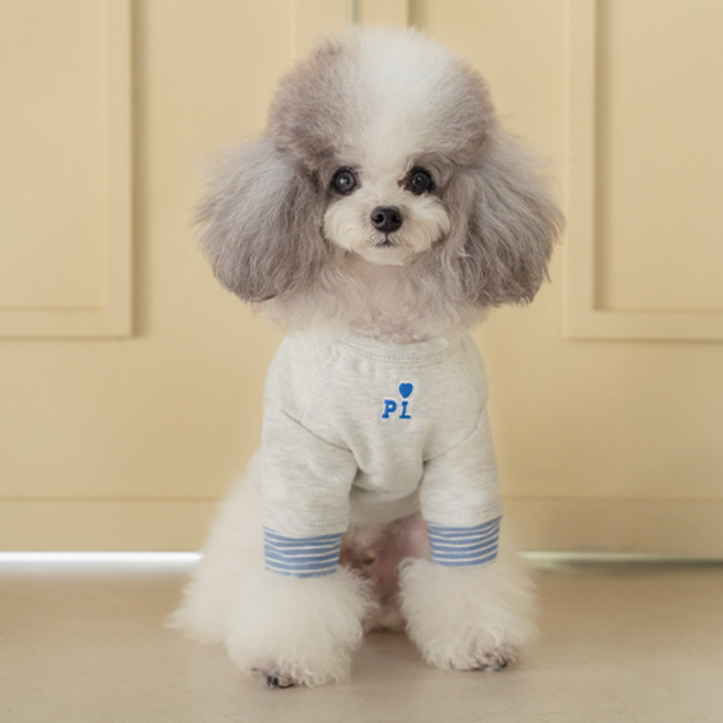 펫츠랜드 반려동물 레이어드 티셔츠, 그레이, 1개