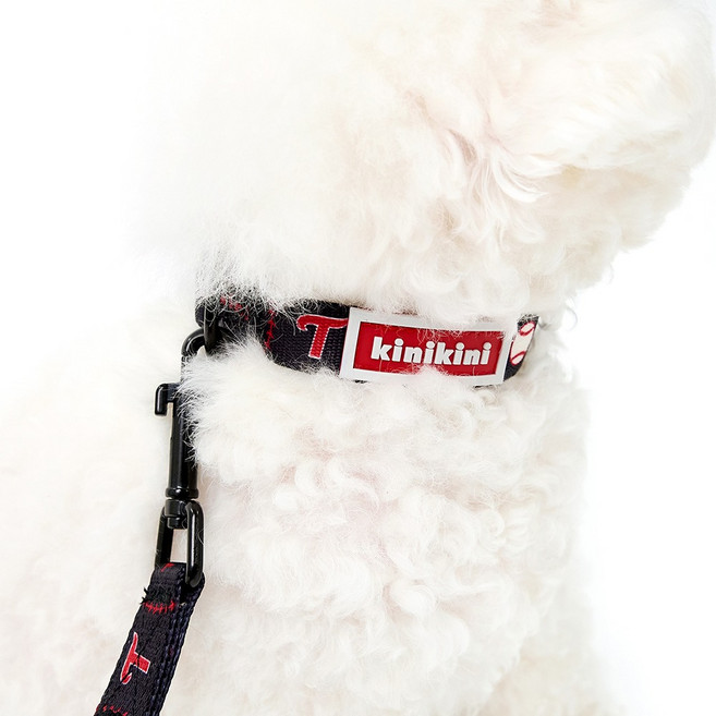 키니키니 강아지 XLG트윈스 어센틱 목줄, 블랙, 1개