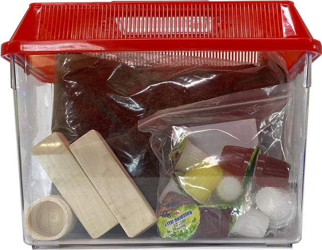 벅스프린스 사슴벌레키우기 세트 대형, 레드, 1세트