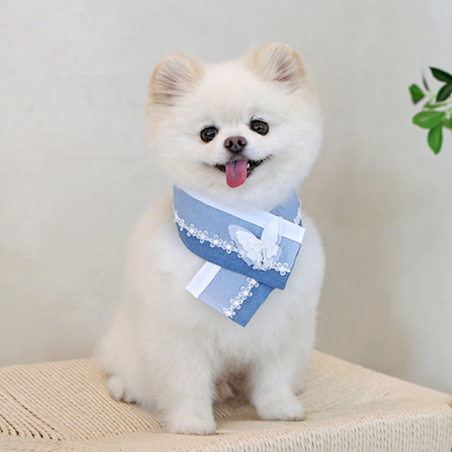 이츠독 반려동물 은나비 한복케이프, 블루, 1개