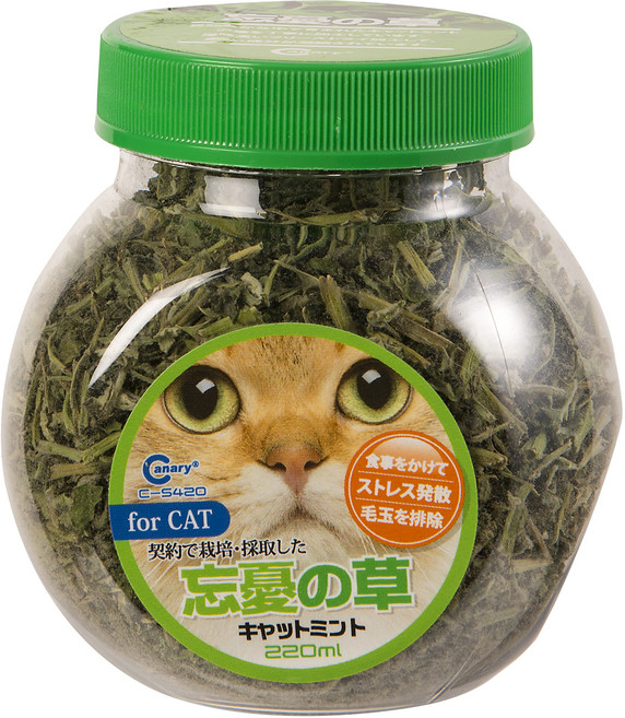 Canary 正午嫩採 貓的薄荷草 C-S420, 貓薄荷, 220ml, 1罐