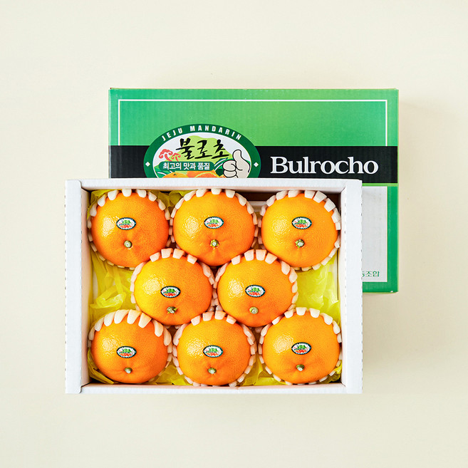 프리미엄 불로초 천혜향, 2kg, 1개