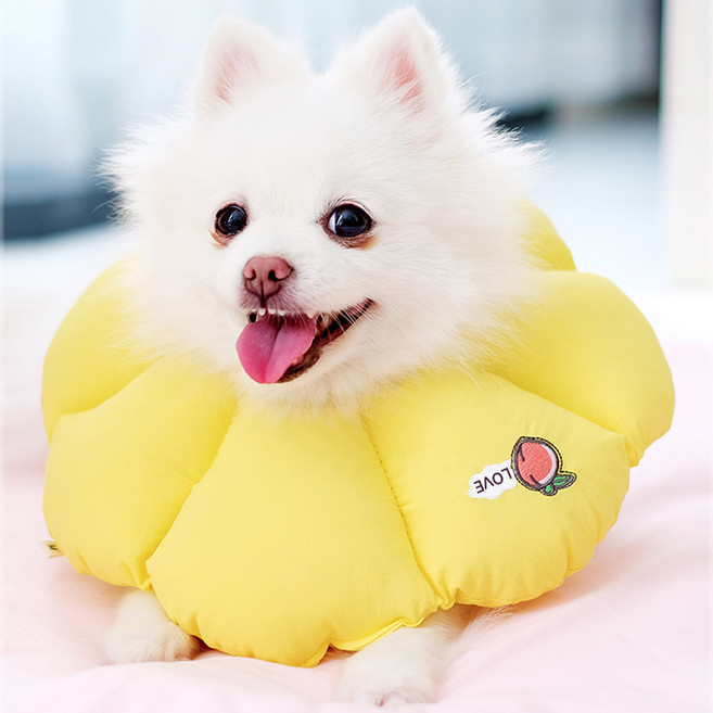 반려동물 복숭아 자수 쿠션 넥카라, 옐로우, 1개