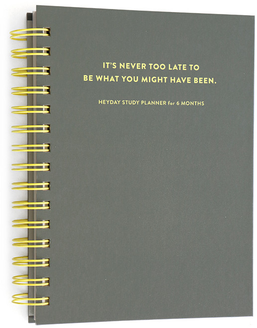 아이코닉 헤이데이 스터디 플래너 6개월, Gray, 1개